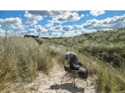 Svale Stuhl -Heim Schmücken 14308 env 4 high