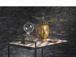 Karv Barwagen -Heim Schmücken 14311 env 1 1901 high