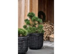 Vilda Übertopf Korbgeflecht 2 Stck. -Heim Schmücken 23845 env 4 2202 high