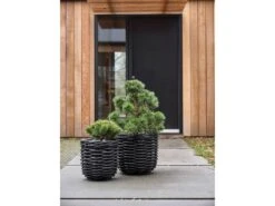Vilda Übertopf Korbgeflecht 2 Stck. -Heim Schmücken 23845 env 5 2202 high