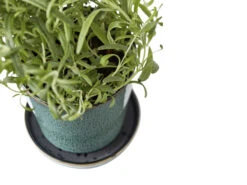 BITZ Übertopf -Heim Schmücken 872760 detail high